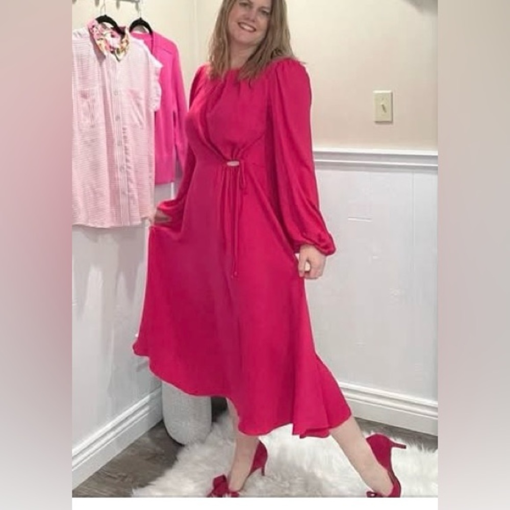 Cabi Delight Dress - Picture 11 of 15